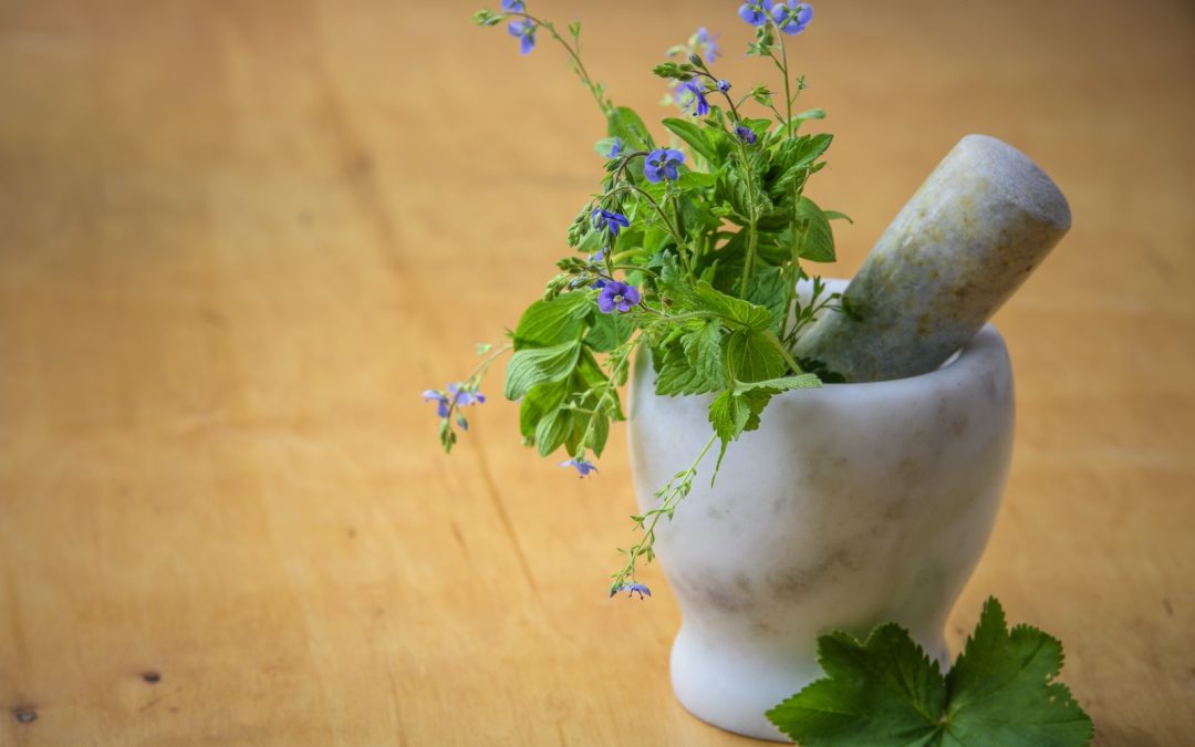 Why Natural Balance Is Essential for Holistic Living