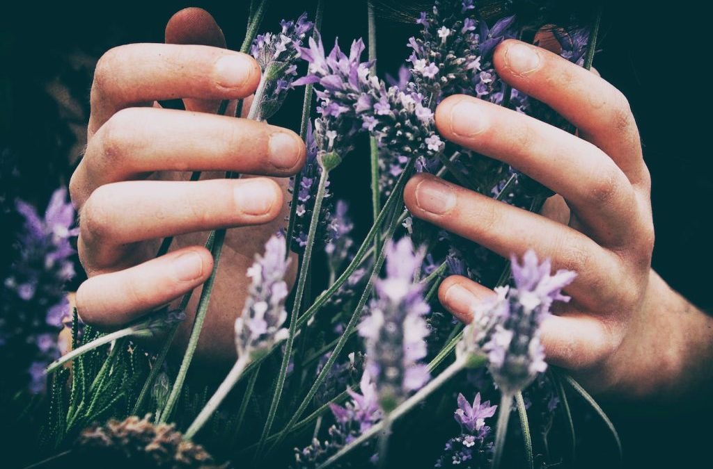 Mastering Mind-Body-Spirit Balance: Natural Pathways Revealed