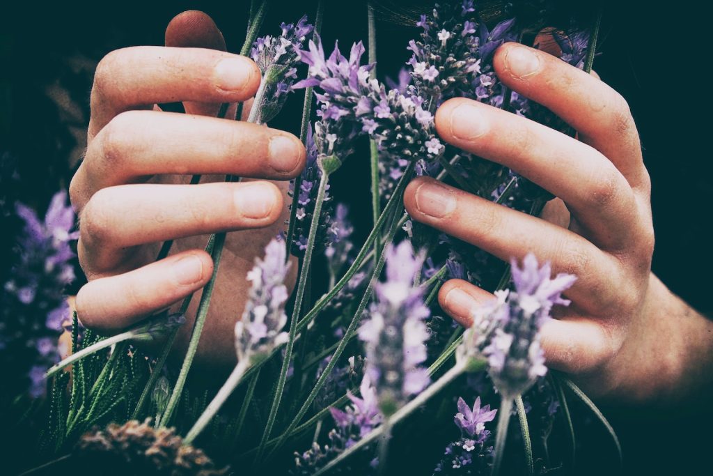 Mastering the Self: A Holistic Approach to Total Balance. a person touching purple petaled flowers