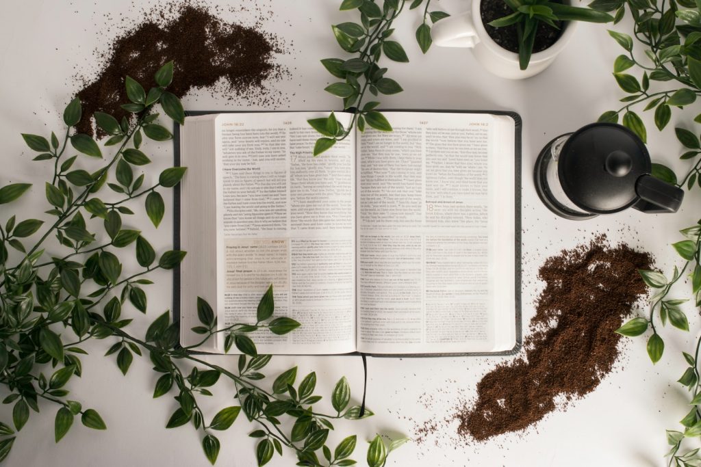 The Bible's Take on Dark Honey: A Holy Grail for Health Enthusiasts. Holy Bible