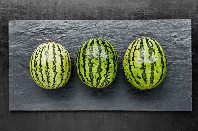 Health Hazard or Hidden Gem? Examining Watermelon Seeds' Safety.