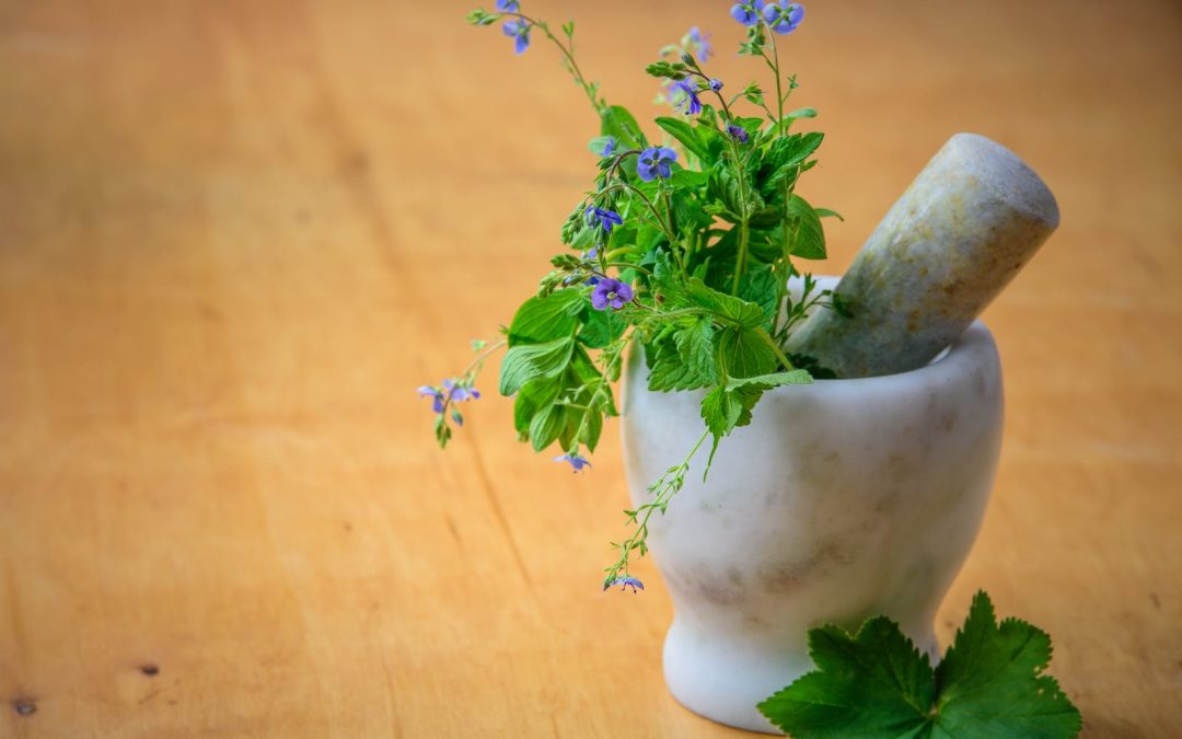 Top Herbal Solutions for Stress and Anxiety