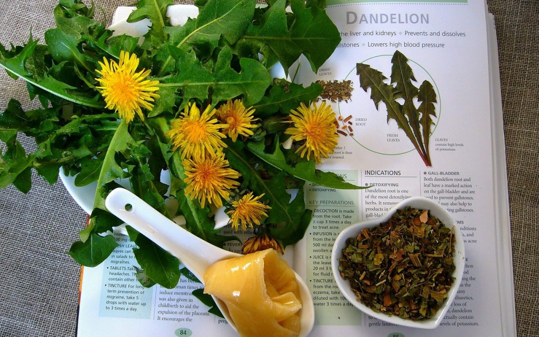 Updated Guide: Herbal Remedies for Chronic Pain