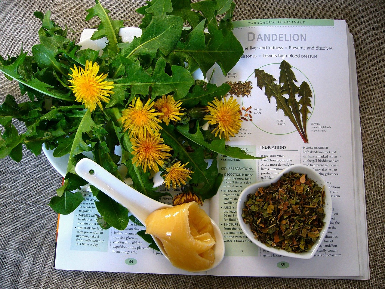 Healing Pain the Natural Way: Mastering Herbal Remedies for Chronic Pain.