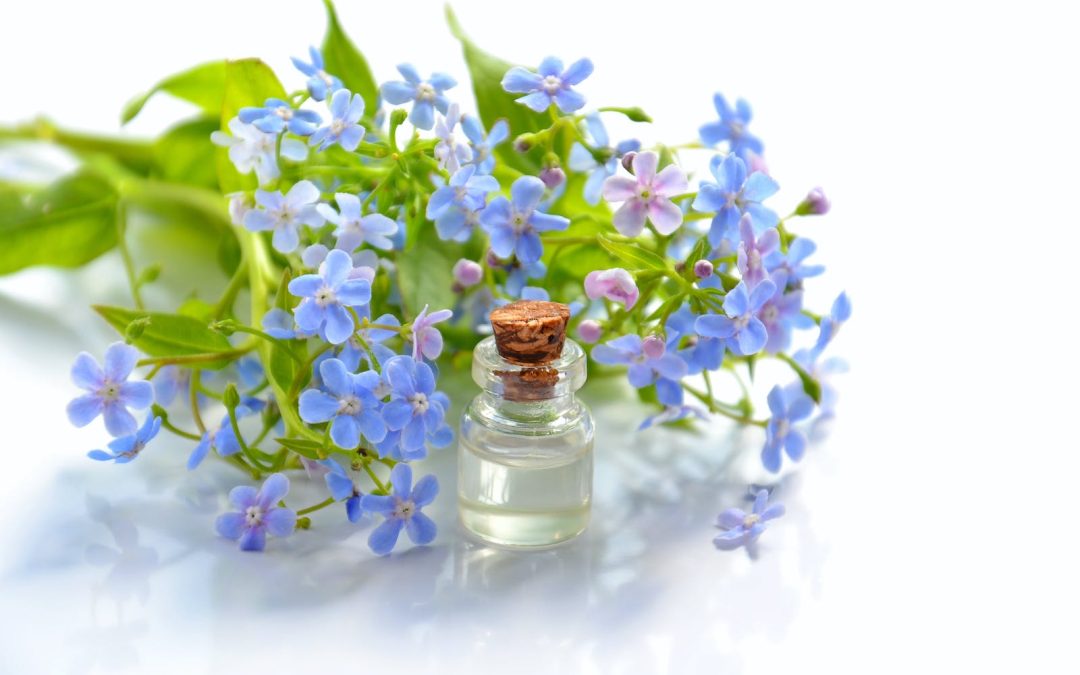 Essential Oils for Holistic Health and Well-being